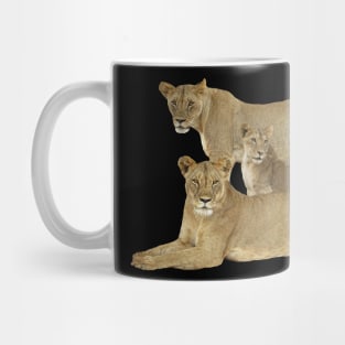 Lion Family - Lion - Lioness - Africa Mug